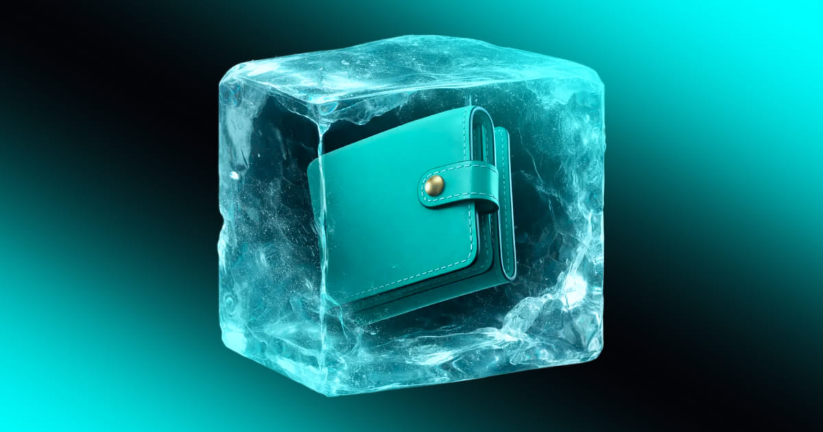 Guida al cold storage wallet: come funziona